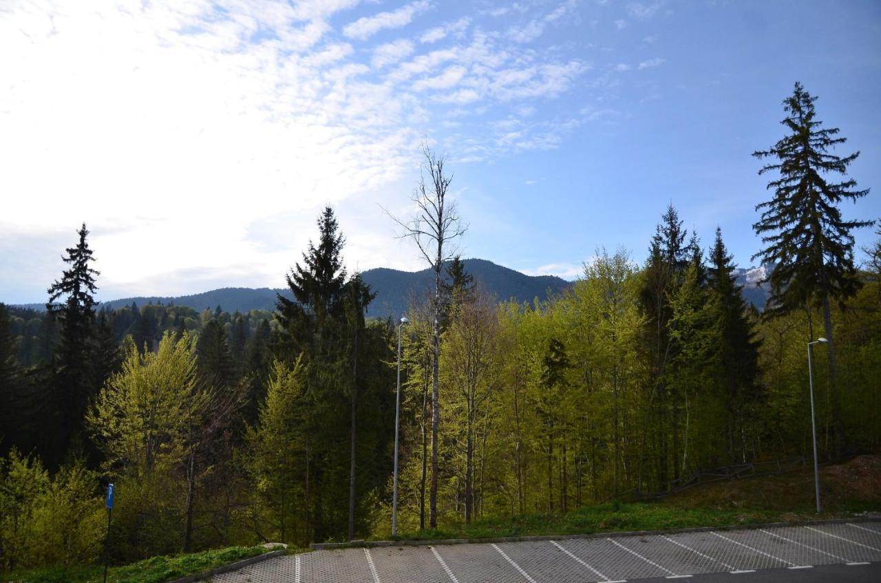 Silver Pine Apartment Poiana Brașov Exterior foto